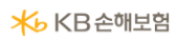 KB손해보험